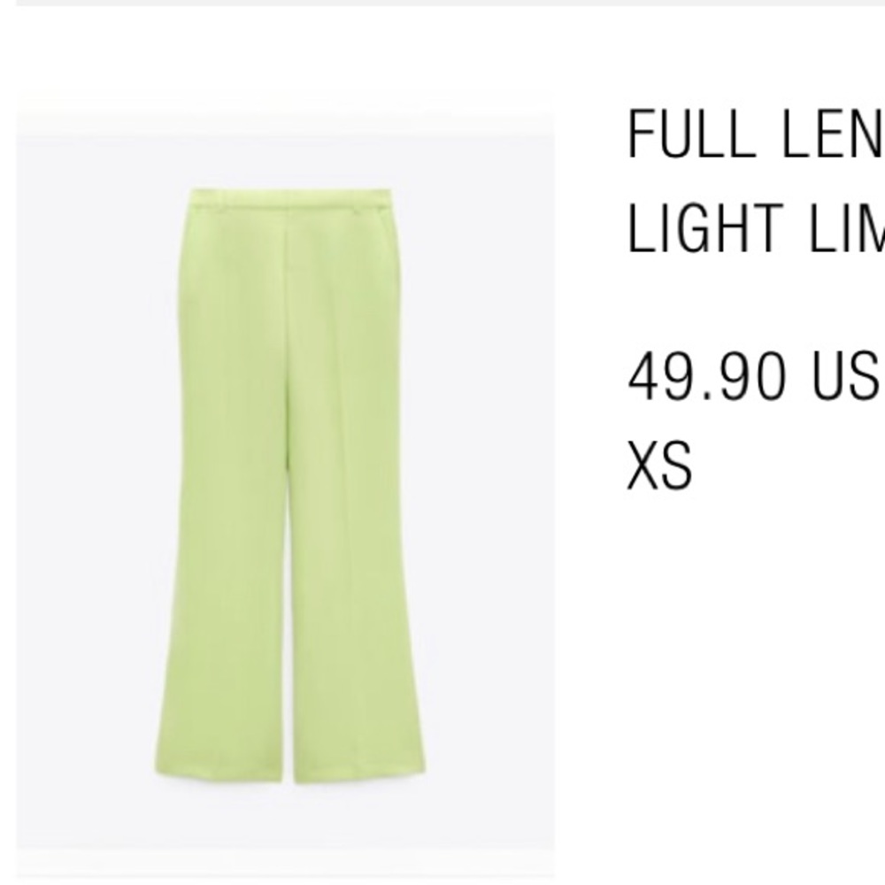 Zara pants NWT never worn